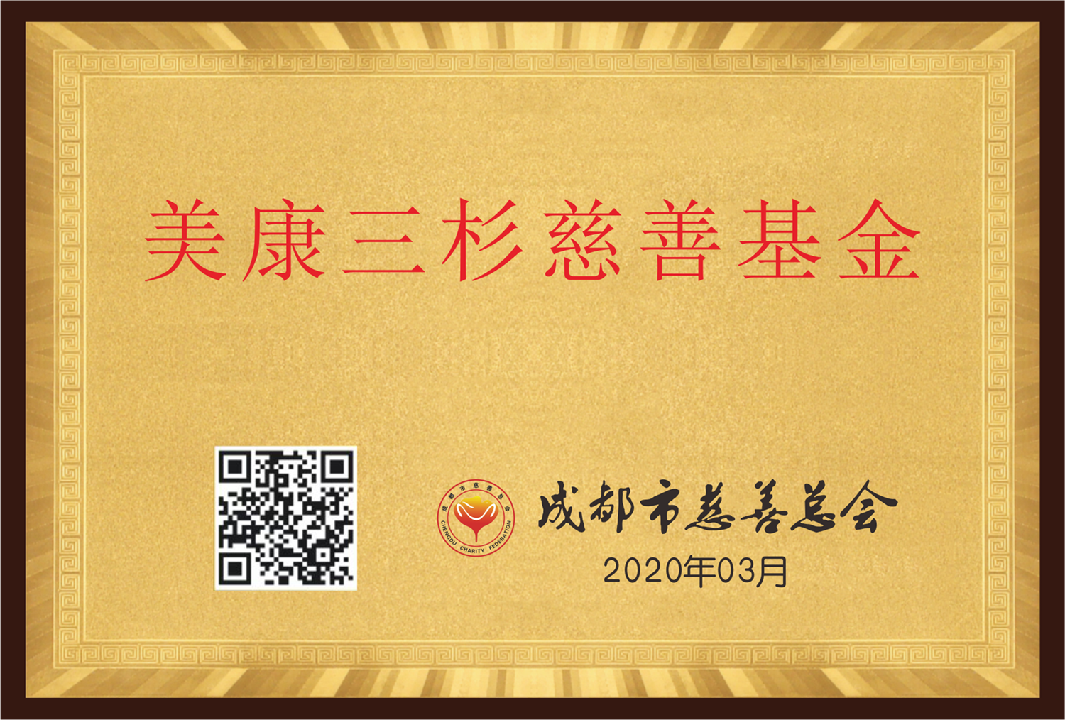 2020年成立成都市慈善總會美康三杉慈善基金